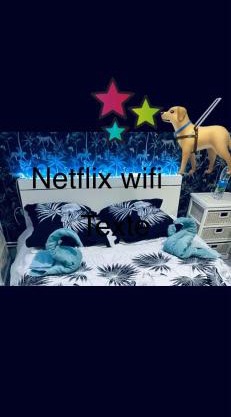 Maison atypique avec un grand terrain !animaux bienvenus !wifi netflix écran plat 4k