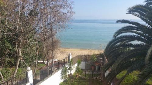 Maisonette 25m from the sea