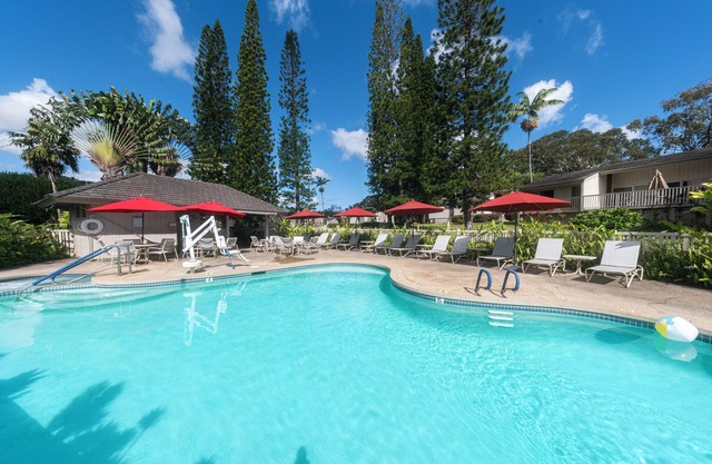 Make Your Trip More Enjoyable! 2 Relaxing Units, Onsite Pool and Free Parking!