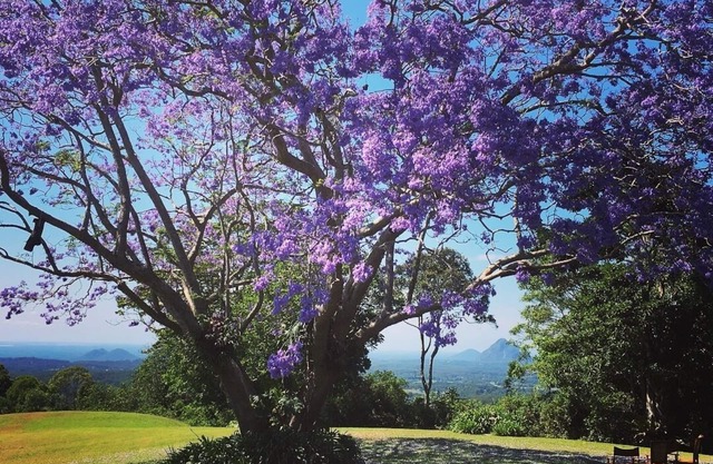 Maleny - 3 bedroom house with Outstanding Sunshine Coast Hinterland Views