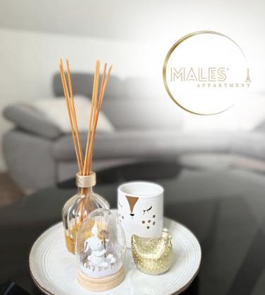 MALES Appartment