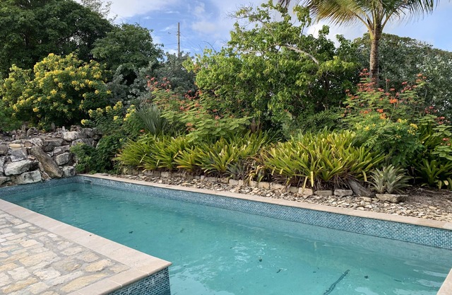Mamaku Manor, water front property with swimming pool