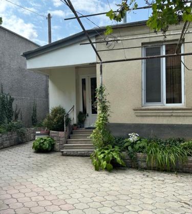 Mango guest house