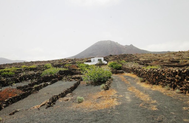Manoa Eco House