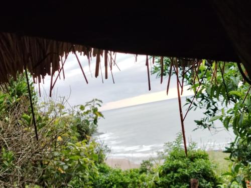 Manuel's view