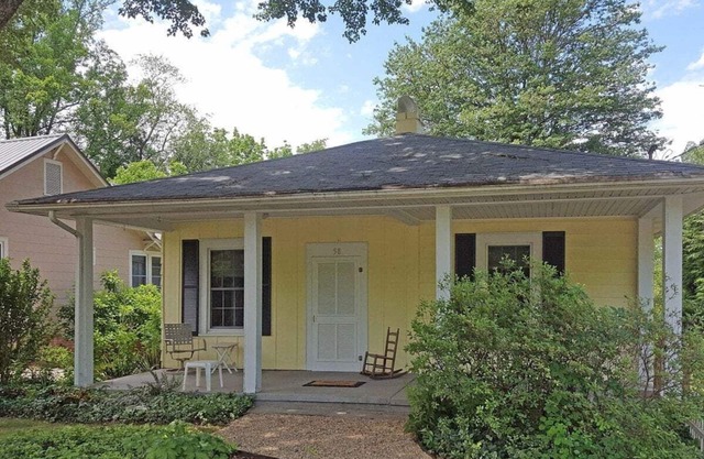 Maple Street Dogs OK, single level home, walk to DT Brevard, free Biltmore pass
