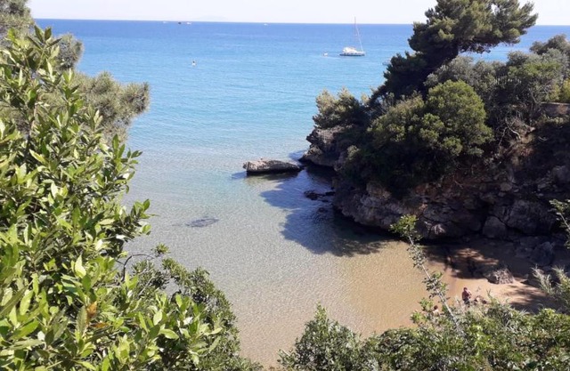 Mare