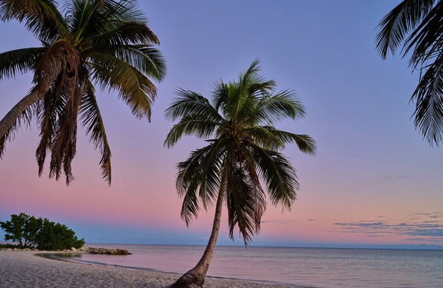 Margaritaville Beach House Key West