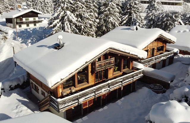 Marmotte Mountain Zenith Village - sleeps 29 guests