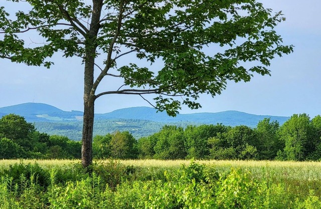 Mason hill. Peaceful, quiet rustic 3 season camp with views.