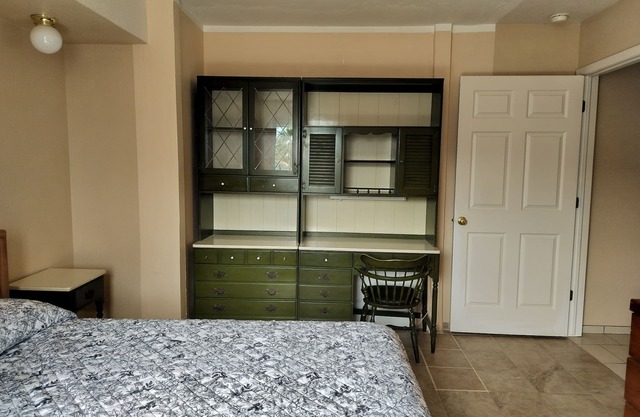 Master Room Near Downtown (For Ladies Only)
