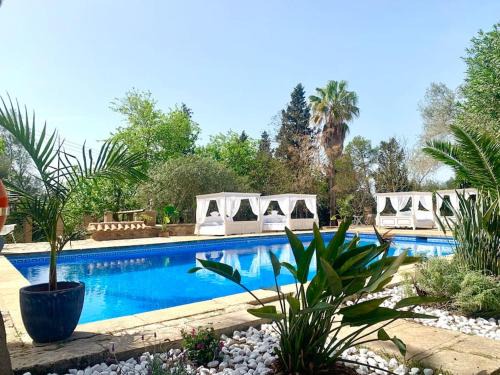 MATEO, Apartment auf Finca Zenara, Küche, XXL Pool, AC, WIFI, Yoga