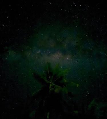 Maupiti Bambou Camping