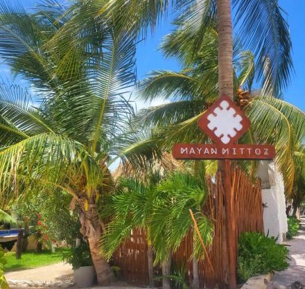 Mayan Mittoz