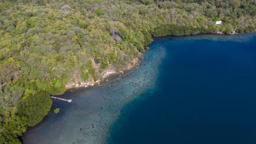 Menjangan Ecolodge - CHSE Certified