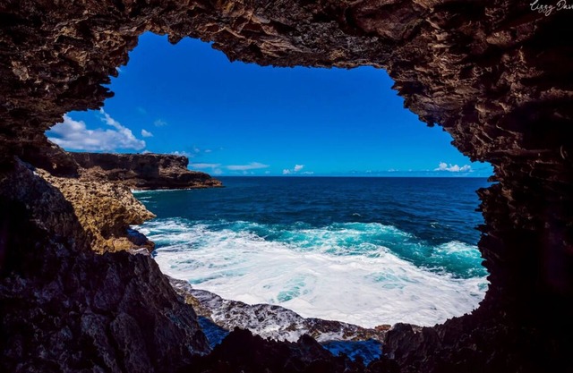 Minutes away from Barbados Polo Club! Upscale Unit w/ Kitchenette & FREE Parking