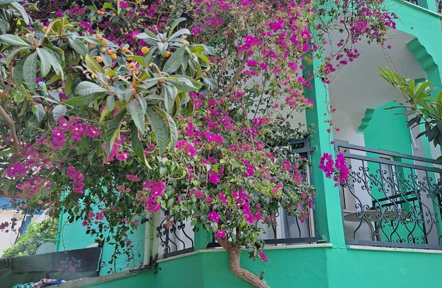 Miramonte Apart Hotel