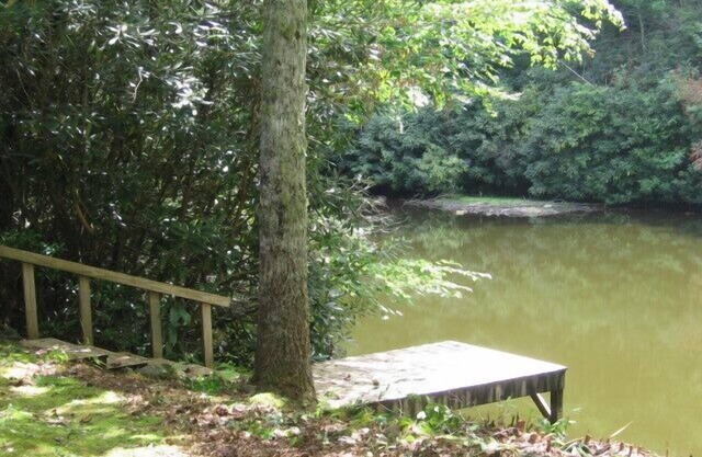 Mirror Woods, On A Quiet Mtn. Pond Surrounded By Nature Includes A/C