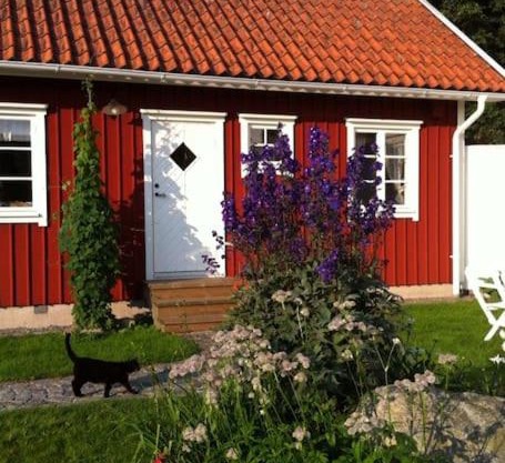 Mitt i vackraste Bohuslän