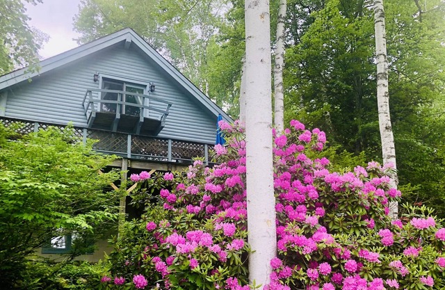 Modern cabin w/ heated pool near Lake George