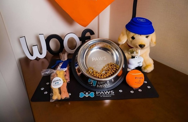 Modern Escape | Pet-Friendly, Full Kitchen with Free WiFi!