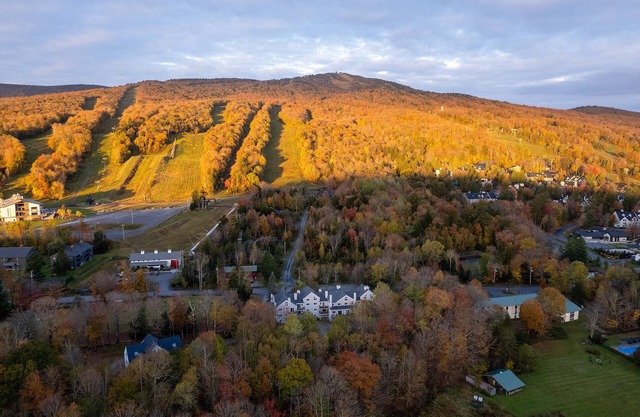 Modern Mount Snow Gnarvana - Balcony, Loft, Pet-Friendly, Walk to Hiking