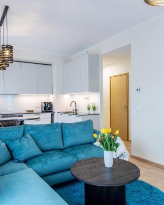 Modern Niidu Apartment