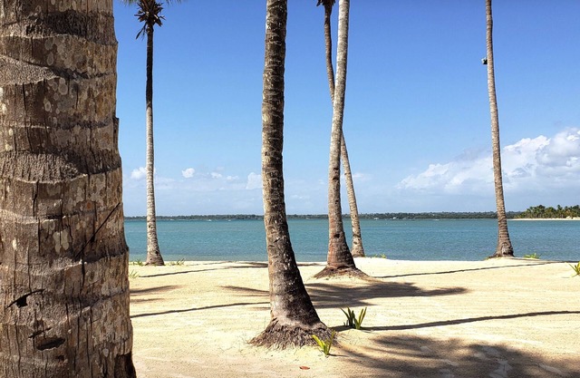 ★ Modern PH w/jacuzzi, ocean and golf views, BBQ & telescope. Walk to beach!