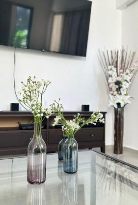 Moderno y acogedor apartamento