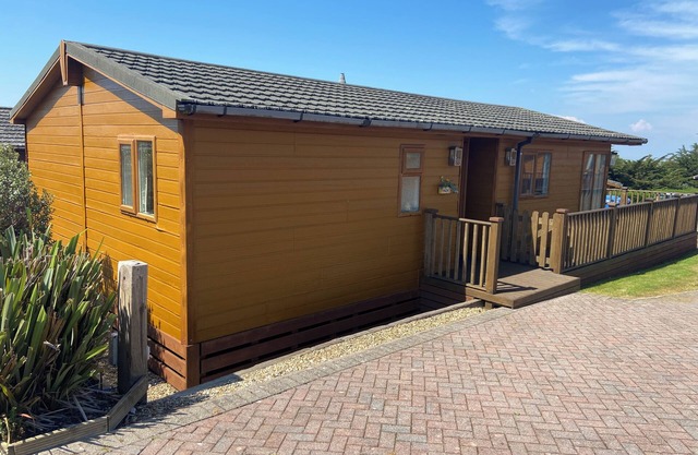 MOJO, pet friendly in Ilfracombe