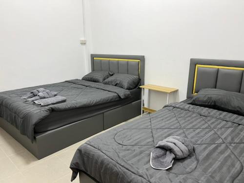 Molly Home มอลลี่โฮม