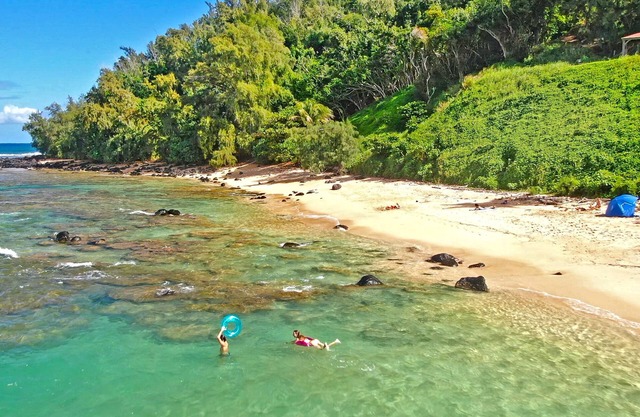 Moloa'a Bay Cottage: 1 BR, 1 BA Cottage in Anahola, Sleeps 4