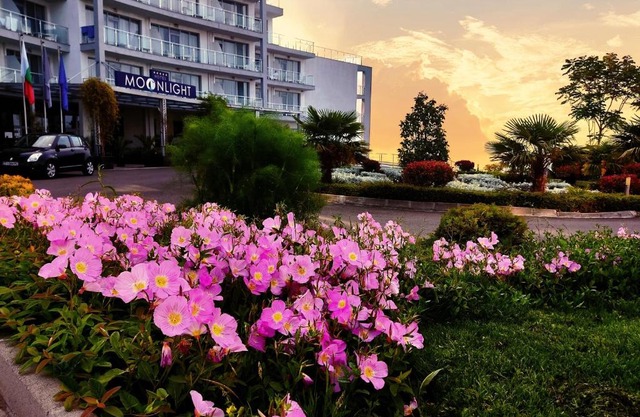 Moonlight Hotel - All Inclusive