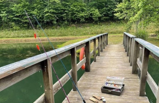 Morgan's Creek