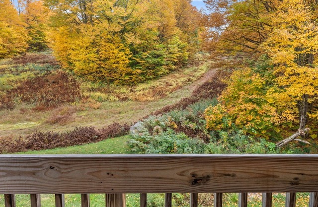 Mountain condo balcony views