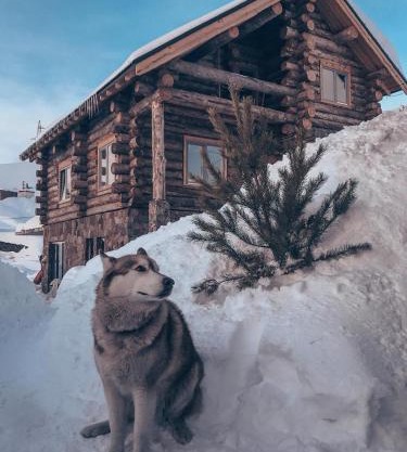 Mountain Cricket Chalets and Apartments Gudauri