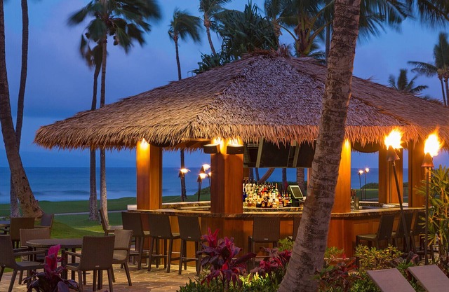 Mountain View - 3 Bedroom - Hyatt Ka'anapali Beach - Full Resort Access
