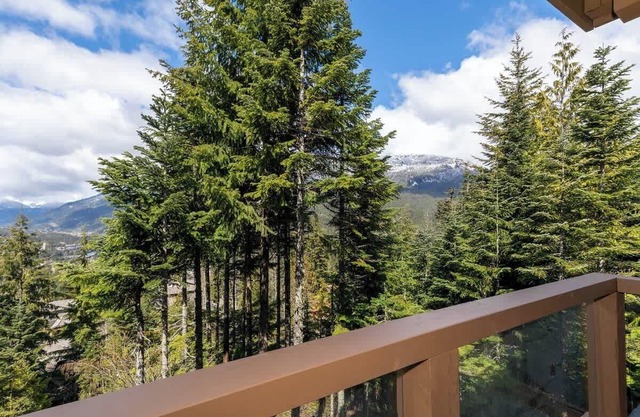 Mountain-view townhouse w/hot tub & ski access