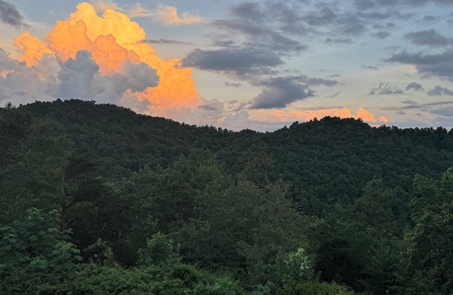 Mtn Views⛰️Dog Friendly🐕 2 King Beds ☕Coffee/Tea Bar 🔥Fire Pit