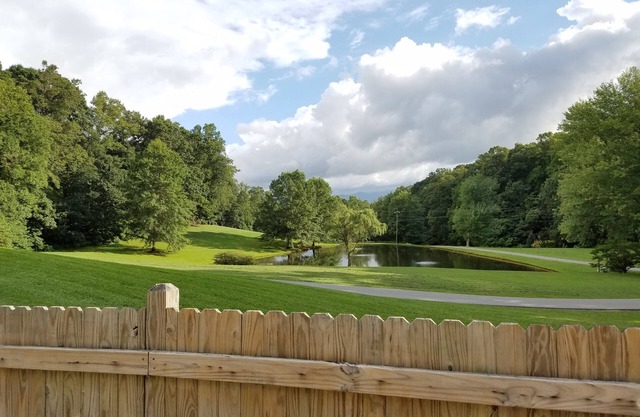 Mtn Views near Asheville with outdoor in-ground pool