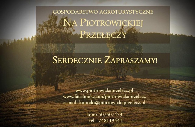 Na Piotrowickiej Przełęczy