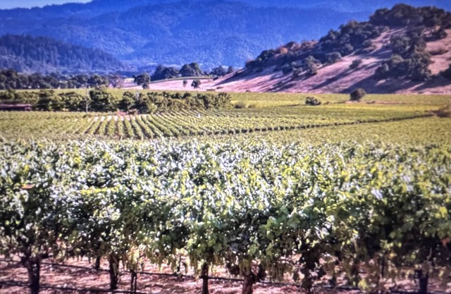 Napa, CA Sept 14-18, 2023 offers an on-site Golf, Wineries, Spa, Pool.