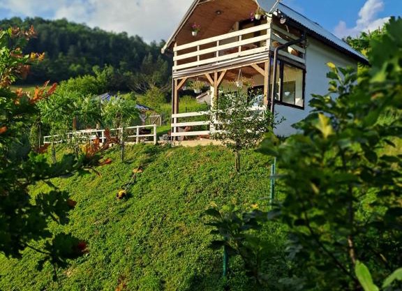 Natural House