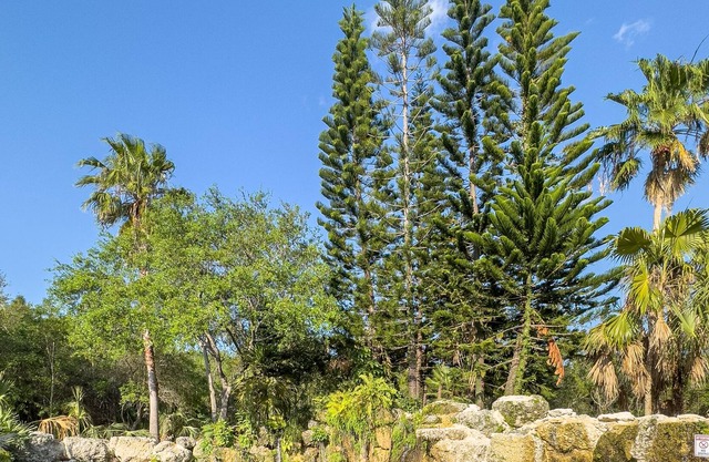 Natural pool at Lake House Miami and private forest for great hikes.