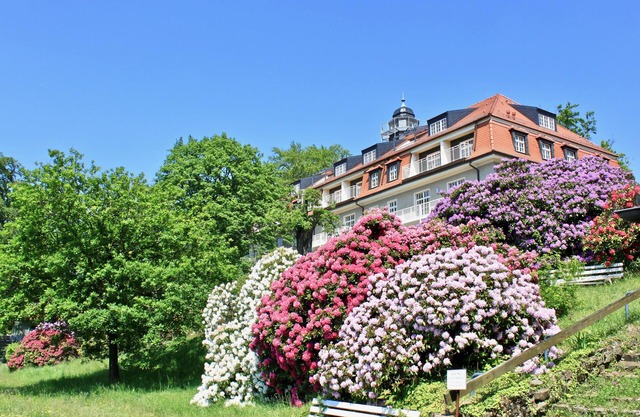 Nature and art, peace and vision