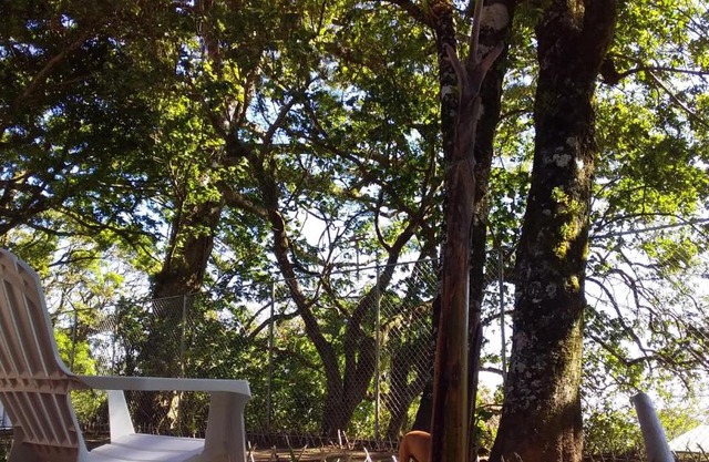 Nature house