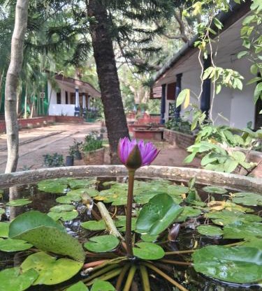 Nature Lodge - Habarana
