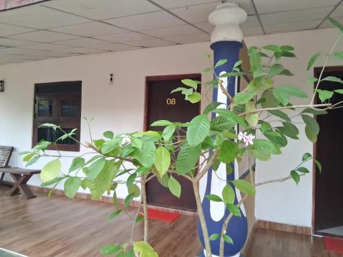 Nature Lodge