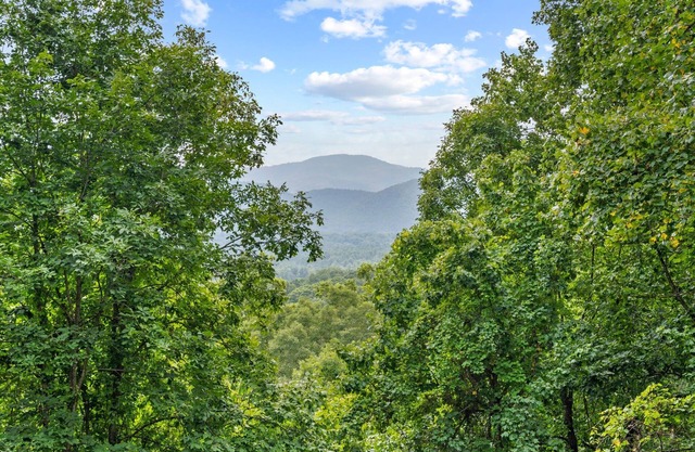 Nature Nook w/Mtn Views!-Near AVL