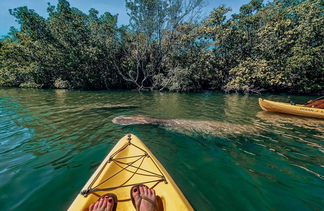 Nature Retreat Sailboat Escape